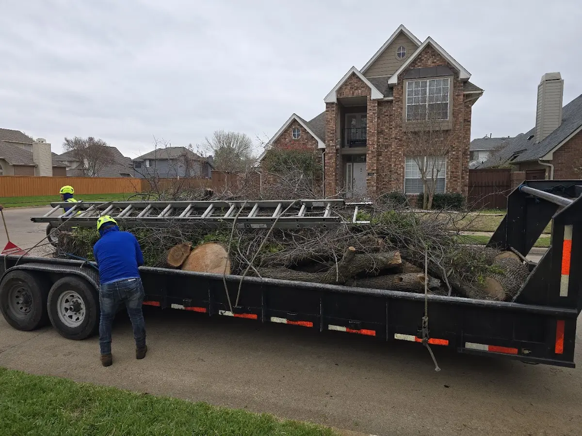 Expert Tree Pest Control with proper safety equipment in Saint Thomas